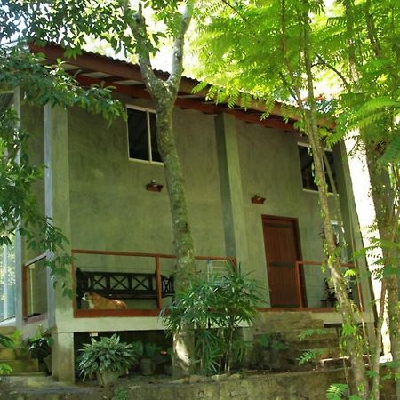 Executive Residency Retreat Villa Hikkaduwa Dış mekan fotoğraf