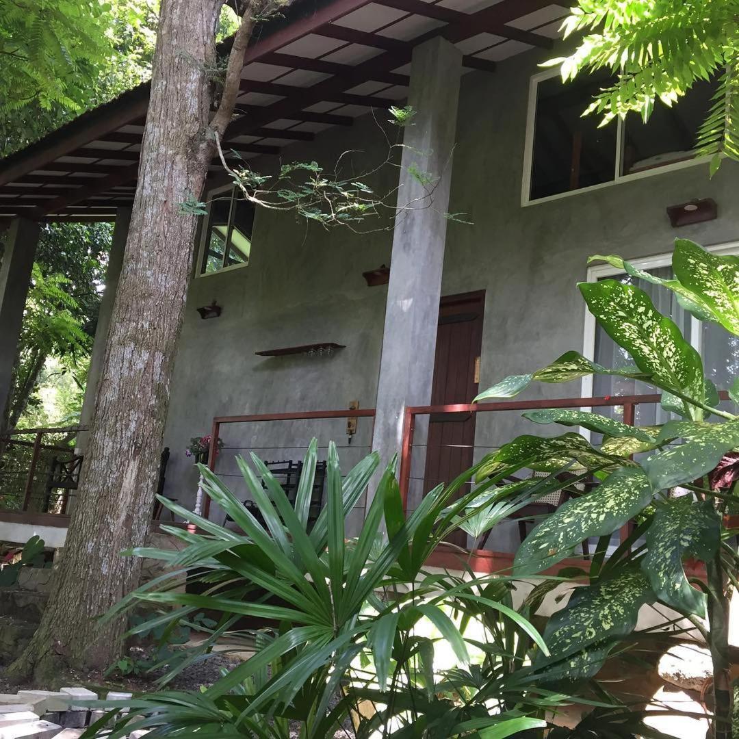 Executive Residency Retreat Villa Hikkaduwa Dış mekan fotoğraf